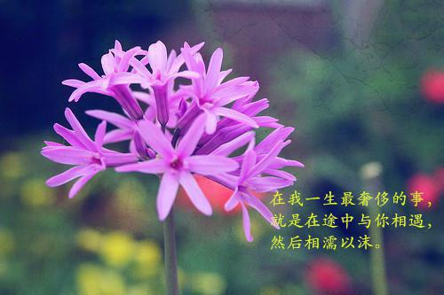 奋斗正能量的美好句子