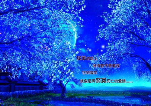 分手遇真爱江宴时悦最新章节完整版小说阅读