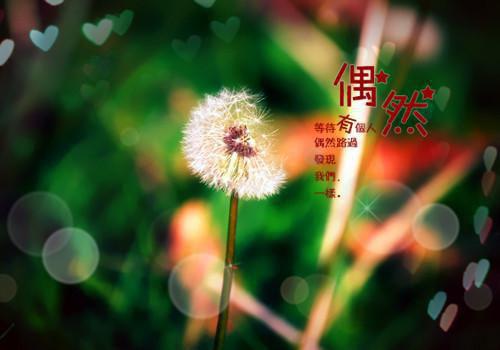 免费品鉴灭族当天,无上神朝的父母寻来(姜洛姜骁)全文浏览_免费品鉴灭族当天,无上神朝的父母寻来全文浏览