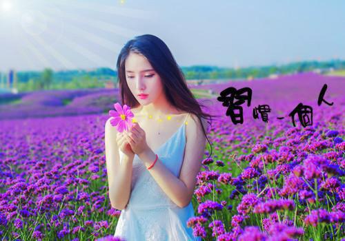 免费小说重生后我靠绿茶人设逆袭了by叶不鸿完结版阅读