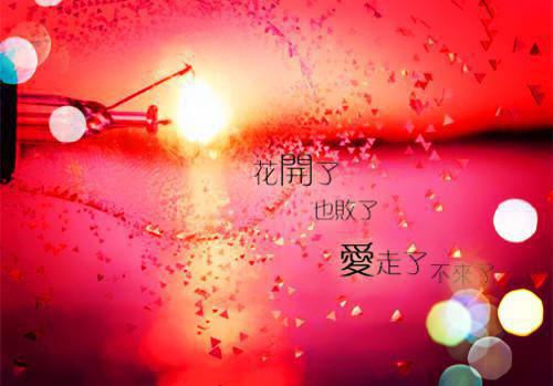 惊鹊枝（安溪照顾辞月）全文免费阅读无弹窗大结局_惊鹊枝免费阅读（安溪照顾辞月）