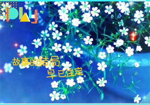全本免费小说贬妻为妾？这侯门主母谁爱当谁当！林照雪傅长风完结版阅读