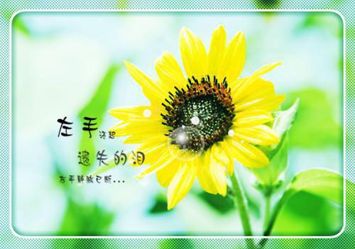 宋时寒向暖小说在线「精彩小说」向暖宋时寒免费阅读