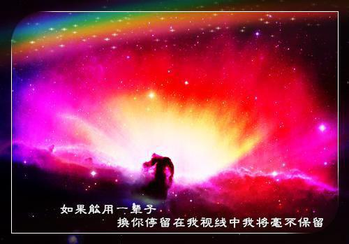 阮希雅贺景小说全文免费阅读(阮希雅贺景)全文免费阅读无弹窗大结局_(阮希雅贺景小说免费阅读)阮希雅贺景无弹窗最新章节列表（阮希雅贺景）