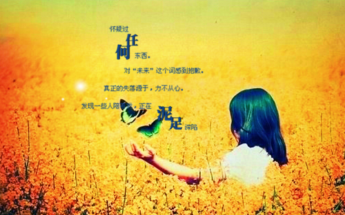 长篇小说宁夜辰洛如缨小说叫什么「精彩小说」宁夜辰洛如缨大结局阅读