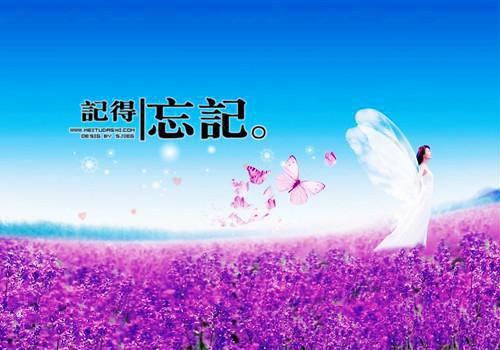 晚安正能量句子唯美失望