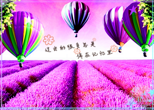 将白月光还给竹马后他却后悔了：（沈清萍郑凌风）将白月光还给竹马后他却后悔了：免费小说_将白月光还给竹马后他却后悔了：全文阅读