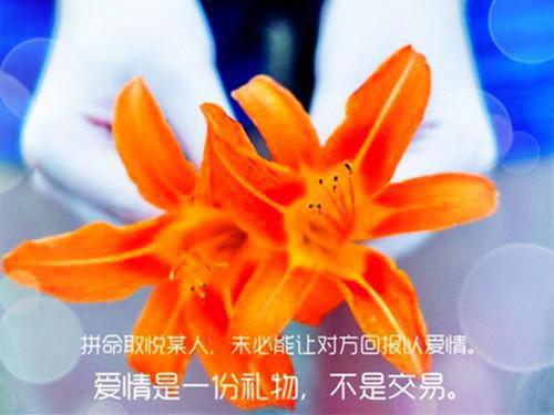 分手各自安好的句子正能量