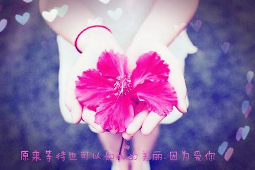 如梦感觉小说全文免费阅读(苏音音季泽川)全文在线苏音音季泽川读无弹窗大结局_(如梦感觉小说苏音音季泽川)如梦感觉小说在线苏音音季泽川读无弹窗最新章节列表(苏音音季泽川)
