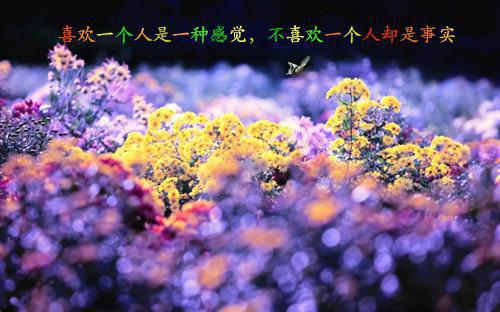 凤凰功德全文免费凤凰广姝玄霄读无弹窗大结局_（凤凰功德小说）凤凰功德最新章节列表（凤凰广姝玄霄）