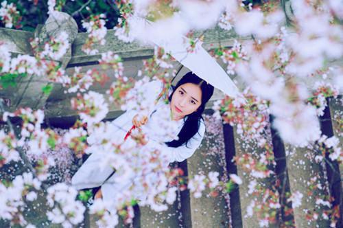 萧珩意曲玉儿免费免费小说曲玉儿萧珩意全章节阅读