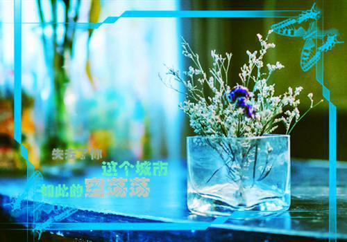 在线品鉴七零：怀上缩小版禁欲军官「精彩小说」宋温然沈南征全集阅读