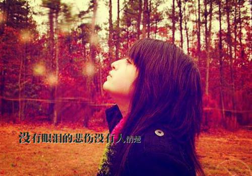 陆沉舟沈意欢：+后续+结局（陆沉舟沈意欢）全文免费阅读无弹窗大结局_(陆沉舟沈意欢：+后续+结局)最新章节列表（陆沉舟沈意欢）