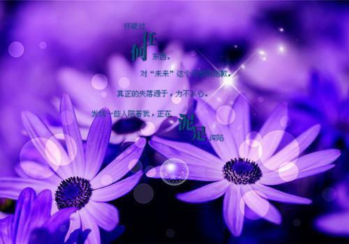 伤感失恋爱情人生的句子