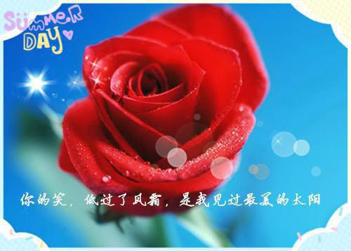 夜半留香的小说_好！朕的傻儿子终于造反了！凌天楚婉儿大结局阅读