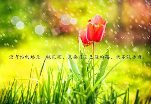 无敌皇太子小说逍遥散人热门小说完整版阅读