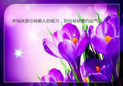 海王撩人心「精彩小说」佚名免费阅读