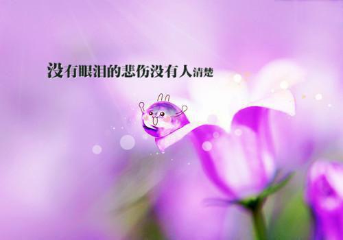 顾予安李漫宁从云端坠落后小说全章节阅读
