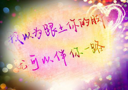 完结版小说韶华by昭华免费阅读