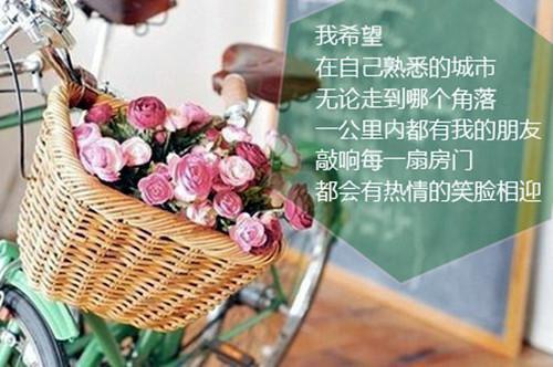 狗仔直播算命这位顶流你塌房了完结版小说全章节目录阅读