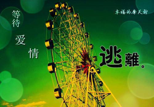 双标反堕胎，豪门梦破败岁圆小说章节阅读