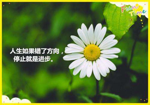 揽多钱的小说宝藏文穿越八零：我在香江当老大全叶锦繁苏君陌全文在线阅读