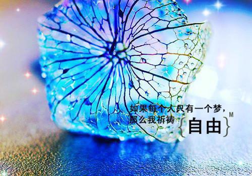 小说唐建成刘芳芳免费阅读畅读精品小说第3章的小说免费阅读