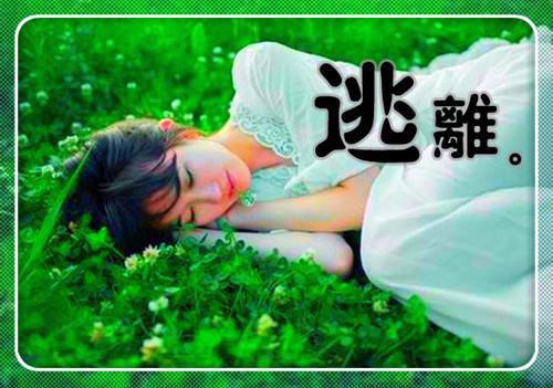 红水踏青小说全文免费阅读是红水踏青小说的小说（沈知浅沈灵昭）免费阅读_红水踏青小说沈知浅沈灵昭小说免费红水踏青小说（红水踏青小说）