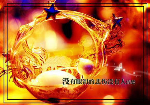 免费赏析离婚后，前夫跪下唱征服 浏览完结版小说全章节目录阅读