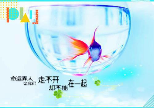 全文免费再一次侮蔑之后秦城总算觉醒了_再一次侮蔑之后秦城总算觉醒了全文免费