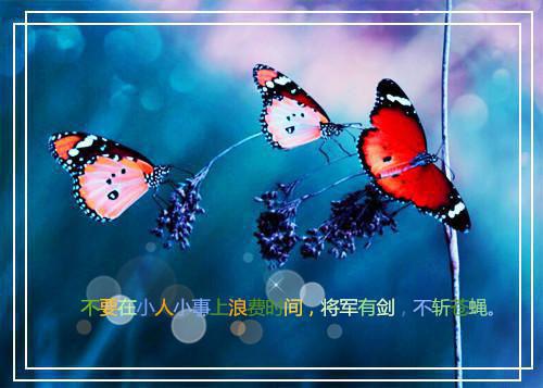人气小说桑義陆宴洲桑義陆宴洲免费试读