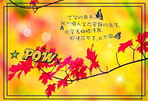 莫一卿迟羡之全章节小说佚名完结版阅读