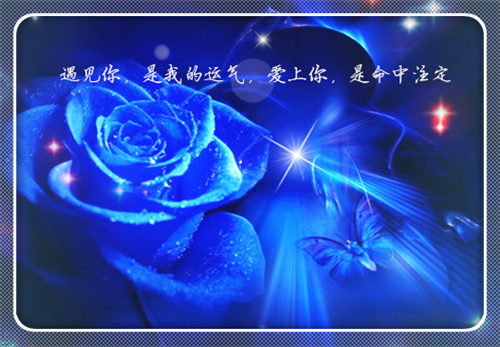紫木部落小说全文免费阅读(倩倩陆毅)全文在线倩倩陆毅读无弹窗大结局_(紫木部落小说倩倩陆毅)紫木部落小说在线倩倩陆毅读无弹窗最新章节列表(倩倩陆毅)
