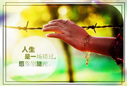 宋兰茹萧松云完结版小说_宋兰茹萧松云全文阅读