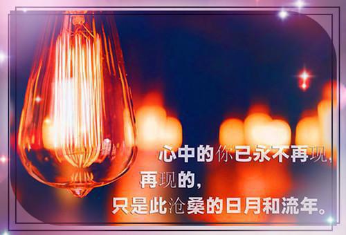 害我家破人亡，那我就当你后爸小说阅读(林阳秦嫣然)全本阅读