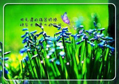 正能量的小哲理句子