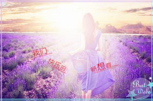 替嫁娇妻：疯批傅总步步沦陷全文阅读_宋清梨傅斯野小说免费阅读