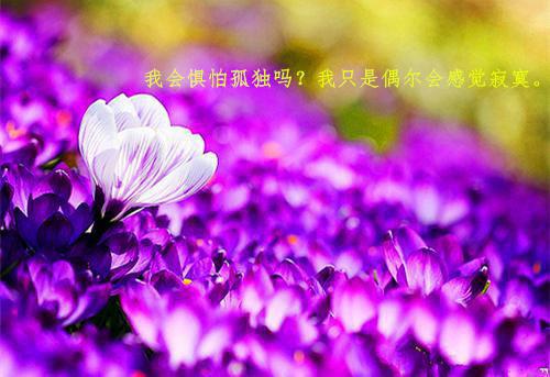 好听的感情句子唯美的句子