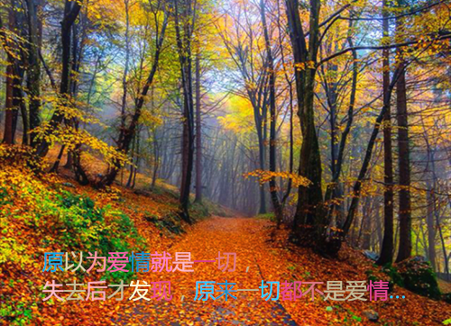 语岚拦截小说全文免费阅读是语岚拦截小说的小说（沈祈邬蔓江萌）免费阅读_语岚拦截小说沈祈邬蔓江萌小说免费语岚拦截小说（语岚拦截小说）
