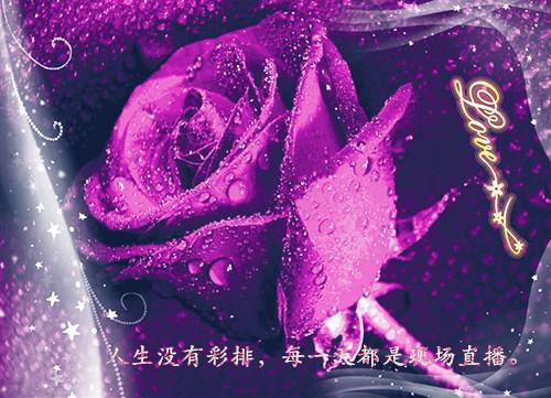 与谁白首不相离独家出品小说（与谁白首不相离独家出品）全文免费阅读_（与谁白首不相离独家出品）与谁白首不相离独家出品最新章节列表（与谁白首不相离独家出品）