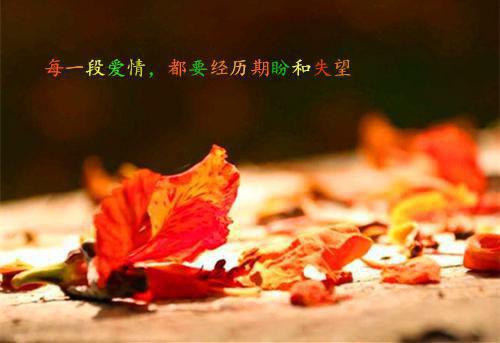 正能量爱情短句子