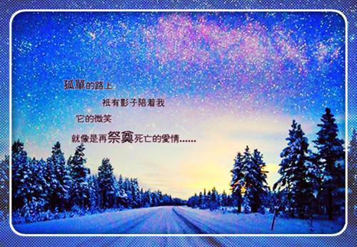 完结版小说喰种世界的音乐家by赞美家免费阅读
