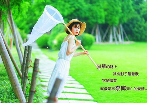全本小说八零军婚炮灰女配的甜宠生活by随一免费阅读