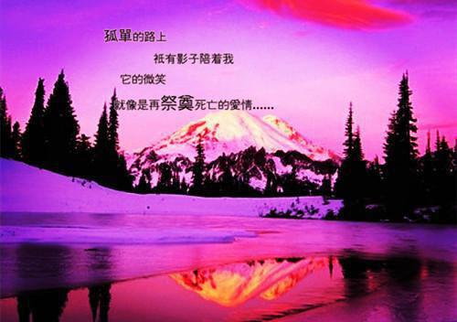 伤感情谊的句子唯美