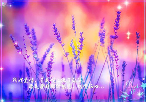 精选作品之一契约宠婚，温总请自重 选集全文小说莫谦颜绮罗小说在线阅读