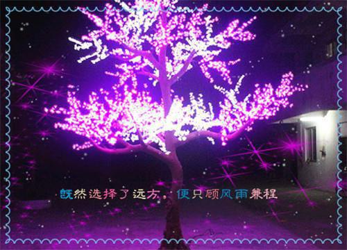 夏卿悦岑今野（夏卿悦岑今野）全文在线阅读无弹窗大结局_（夏卿悦岑今野全文在线阅读无弹窗）夏卿悦岑今野最新章节列表（夏卿悦岑今野）
