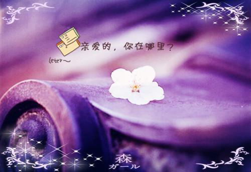 姬小卿墨衍全文免费阅读(姬小卿墨衍)全文免费阅读无弹窗大结局_(姬小卿墨衍)姬小卿墨衍免费阅读无弹窗最新章节列表(姬小卿墨衍)