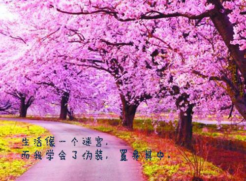 许南意封忱宴全文阅读 许南意章节阅读