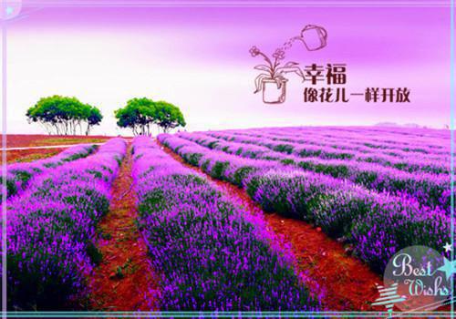 跟太子爷玩纯爱佚名小说章节阅读