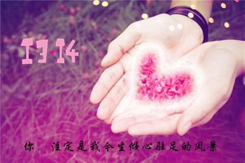 夜十一的小说真千金马甲被爆全京圈都跪了！全文完整版在线阅读